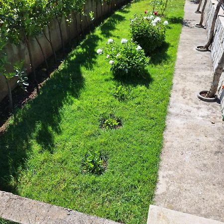 Apartment Slobo Τρέμπινιε Εξωτερικό φωτογραφία