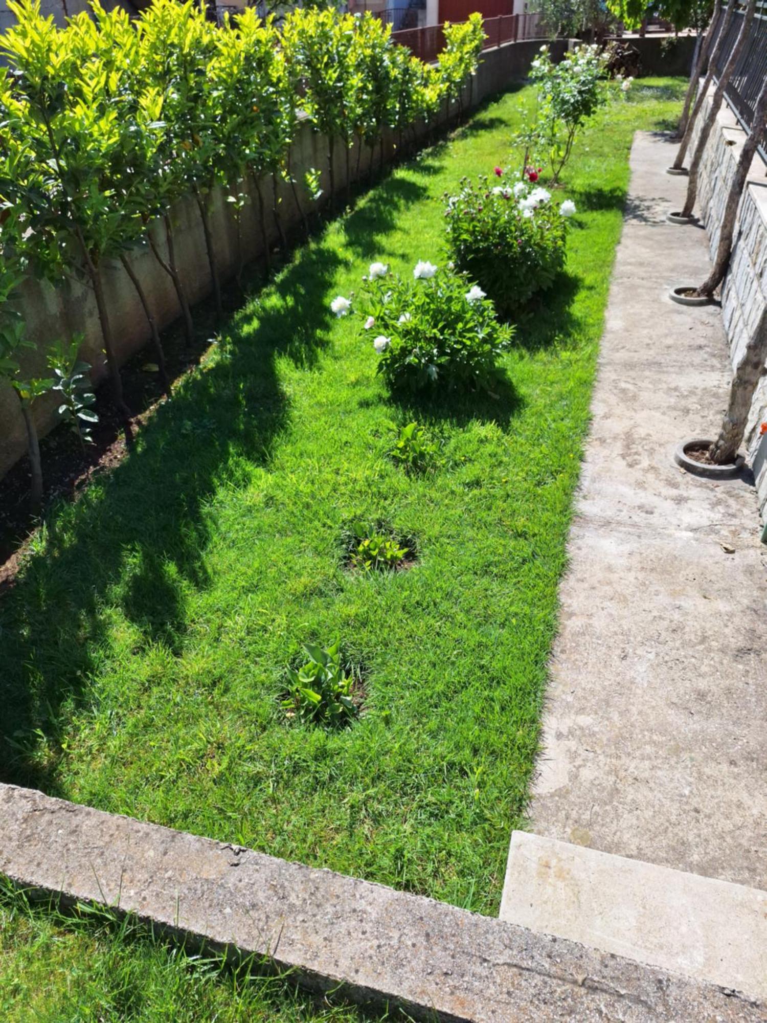 Apartment Slobo Τρέμπινιε Εξωτερικό φωτογραφία